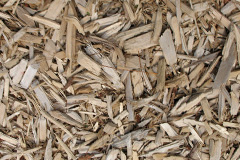 biomass boilers Batch